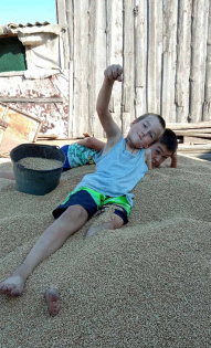 Лето и деревня