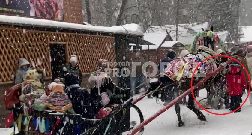 В Новочебоксарске неуправляемая лошадь вбежала в толпу и сбила ребенка