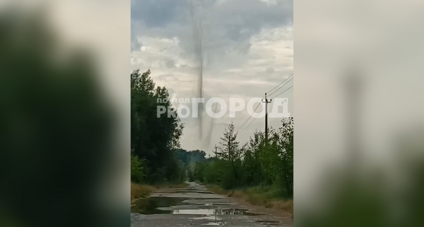 В Новочебоксарске в небе образовался вихрь из зеленых насекомых после ливня