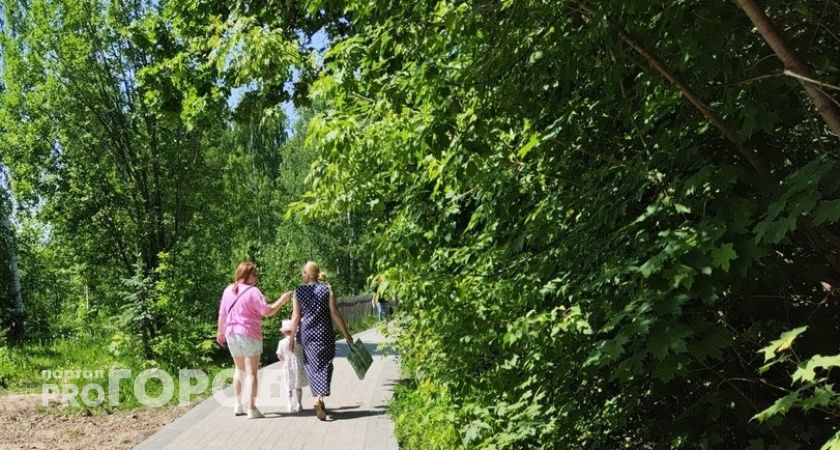 Синоптики рассказали, какая погода ожидает жителей Новочебоксарска в субботу