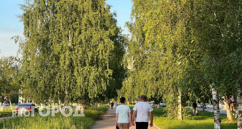 Летняя жара в Новочебоксарске не отступит еще неделю: могут начаться ливни 