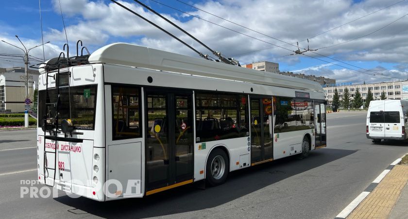 В Новочебоксарске могут сменить стоимость проезда в троллейбусе