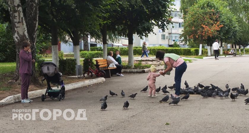 В субботу синоптики прогнозируют в Новочебоксарске кратковременные дожди во второй половине дня