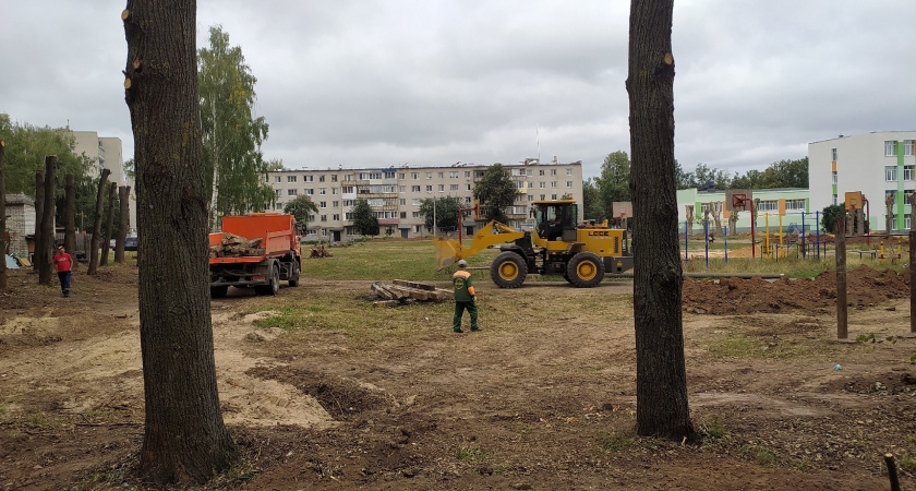 В новочебоксарской школе ведут благоустройство территории