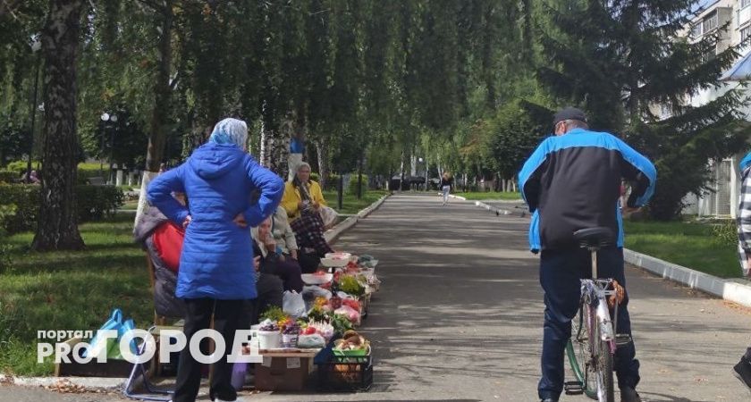 Новые законы в России: изменения в общественном транспорте, образовании и рыболовстве