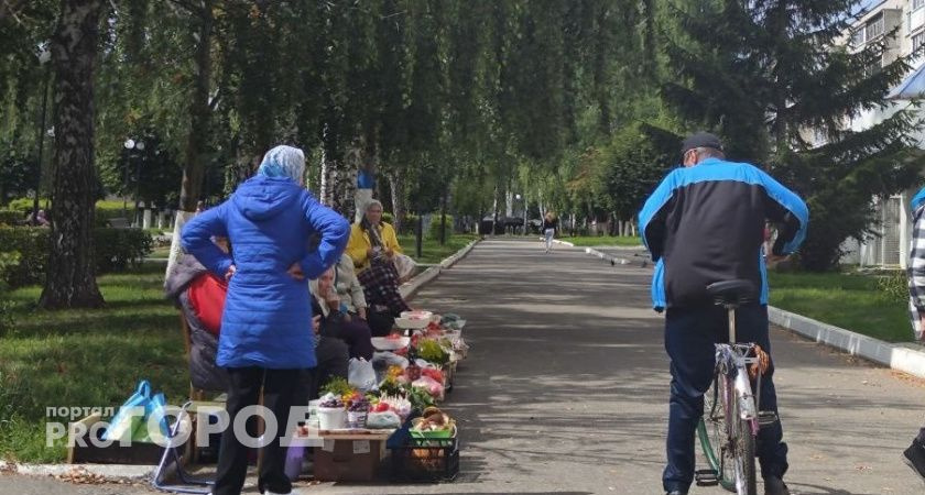 Главные новости за 30 августа, Новочебоксарск: Новые законы в России: изменения в транспорте и образовании, и другие