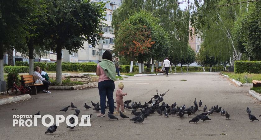 Прогноз погоды в Чувашии на 22 сентября: переменная облачность и без осадков