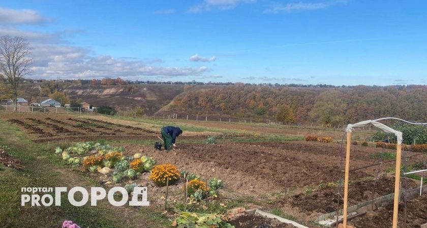 Переменчивая погода ожидает жителей Чувашии 7 октября