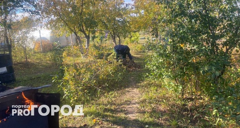 В Чувашии объявлен оранжевый уровень пожарной опасности на неделю