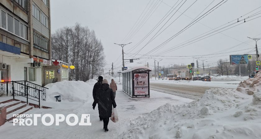 Синоптики прогнозируют холодную зиму в Чувашии