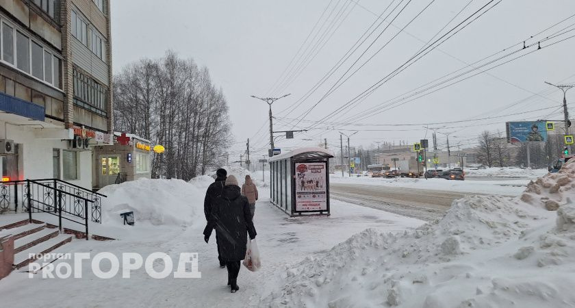 Главные новости Новочебоксарска 16 октября: холодная зима, мошенники обманули медсестру.
