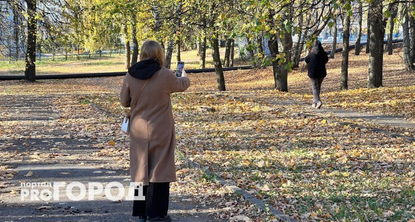 В Чувашии объявлен наивысший уровень пожарной опасности в лесах