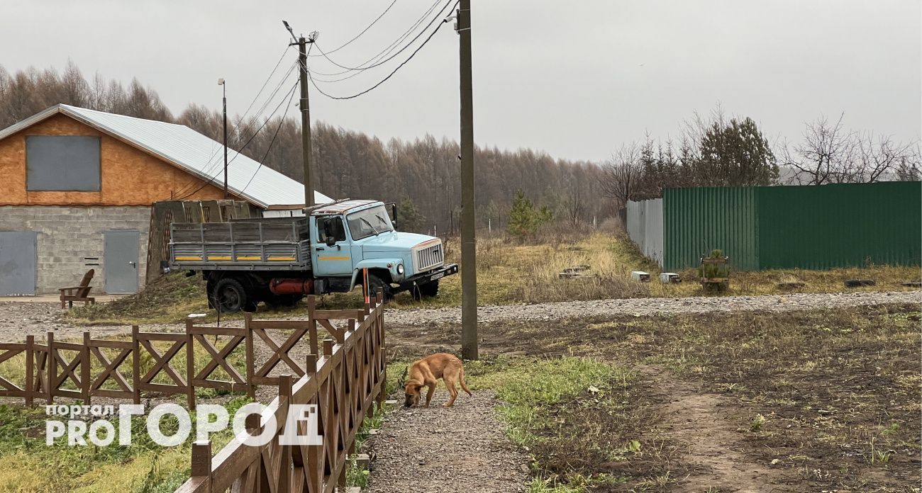 МЧС предупредило жителей Чувашии об усилении ветра до 20 м/с