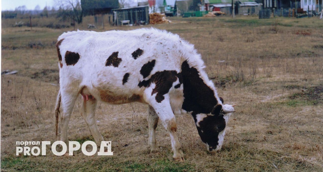 В Чувашии зарплаты агрономов и механизаторов достигают 150 тысяч рублей