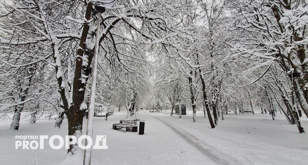 В Чувашии ожидается снег и гололедица