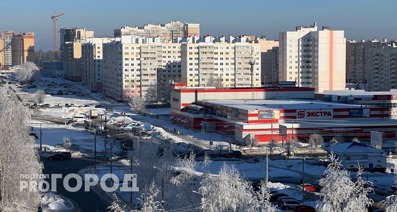 Куда и когда в Новочебоксарске можно будет пойти за покупками в новогодние каникулы