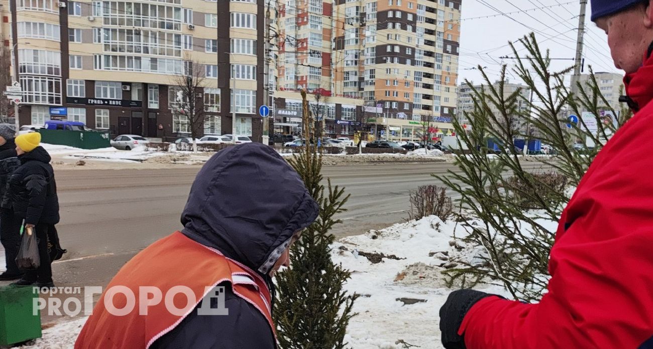 Обзор елочных базаров Новочебоксарска: от живых елок до веников для бани