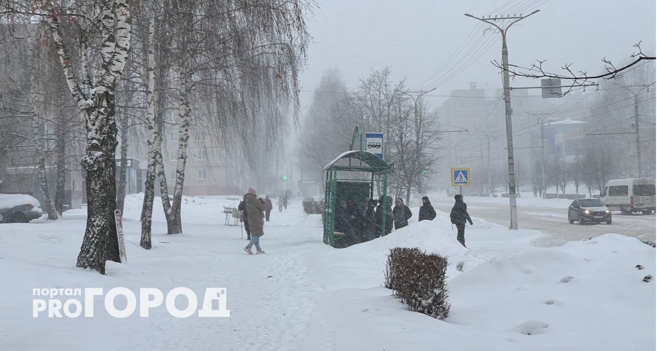 В Чувашии 30 декабря ожидается мокрый снег и туман