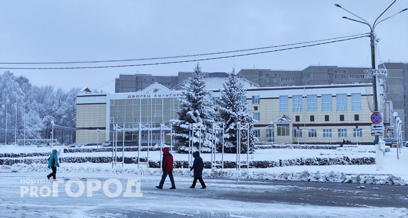 Что делать жителям Новочебоксарска с новогодними елками, чтобы не получить штраф