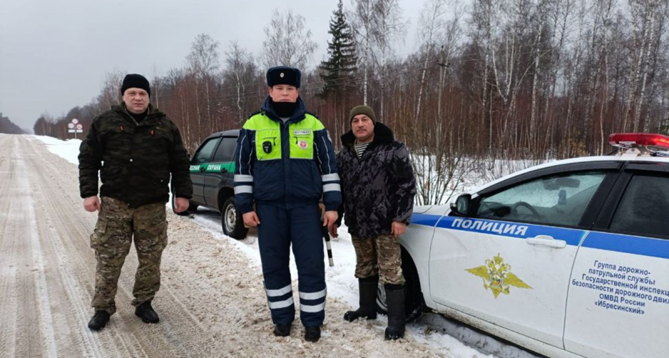 В Чувашии за новогодние праздники не зафиксировали незаконных рубок елей