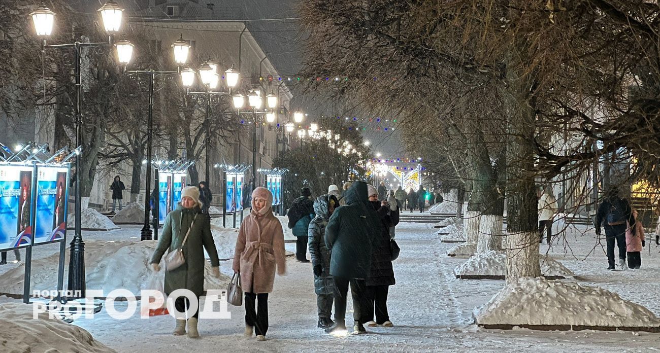 В Чувашии завтра потеплеет до +2 градусов, ожидается гололедица