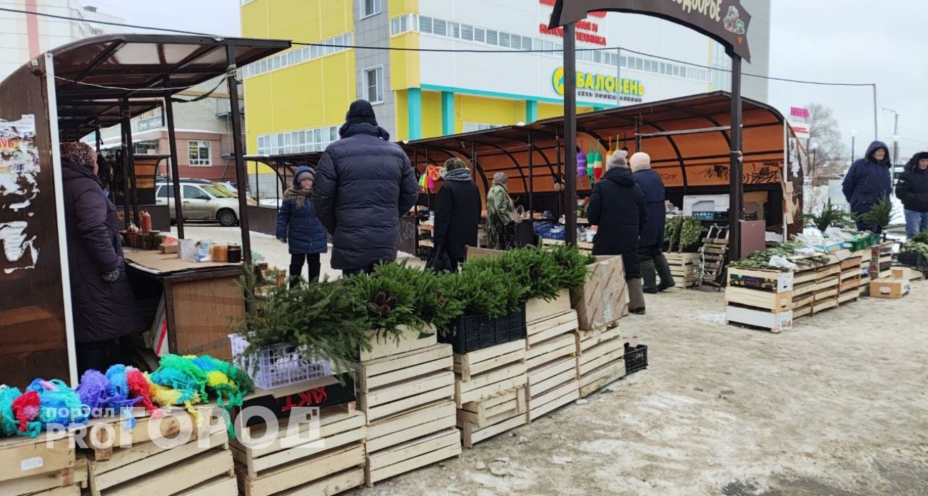 За кражу больше ста тысяч рублей на рынке Новочебоксарска воровке с Алтая присудили лишь штраф