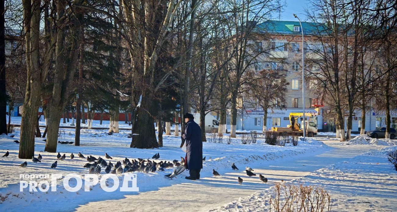 В Чувашии 9 февраля ожидается морозная погода без осадков