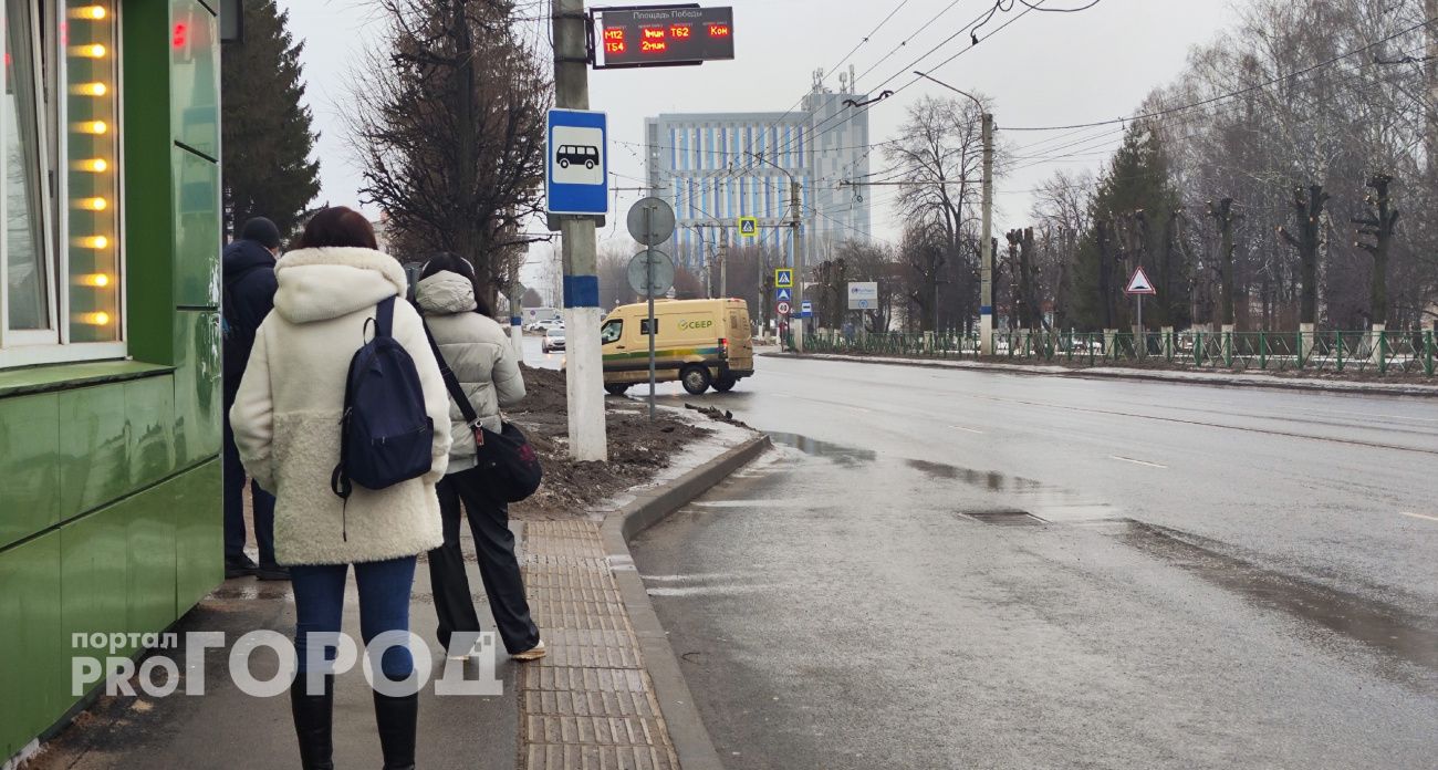 В Новочебоксарске власти проверили школу, где обнаружили таракана