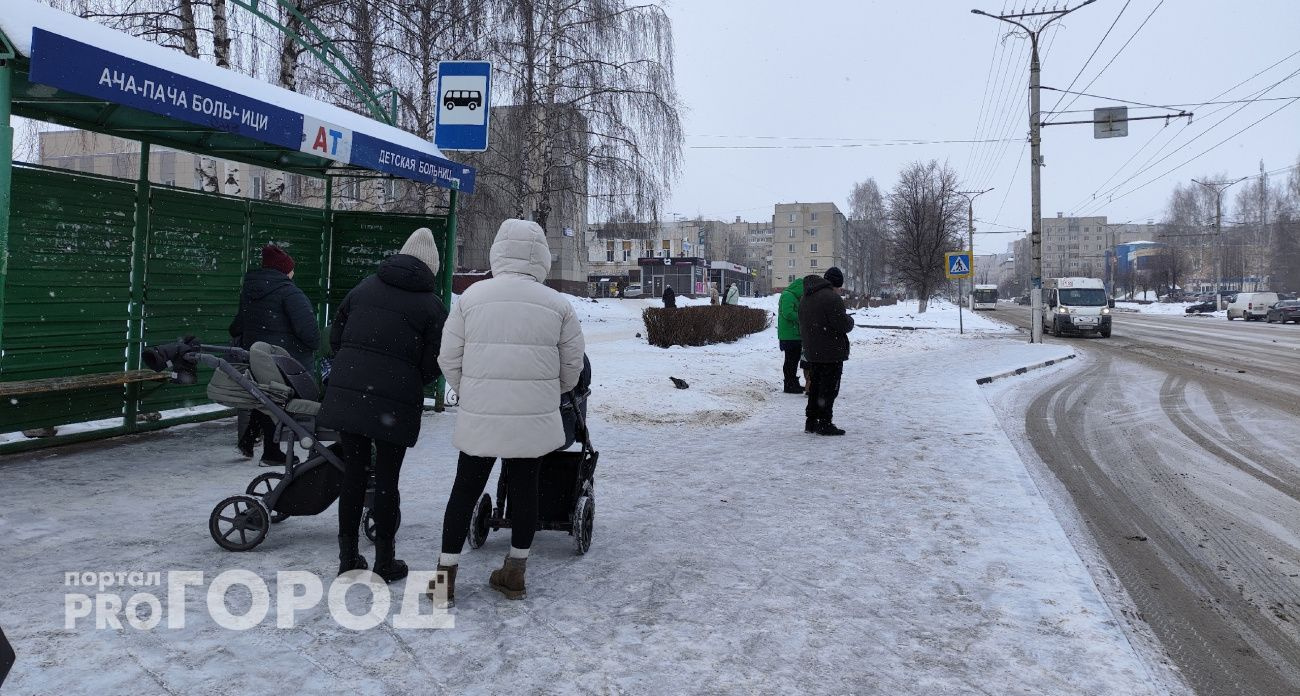 В Чувашии выделили 3,6 млн рублей на питание беременных и кормящих матерей