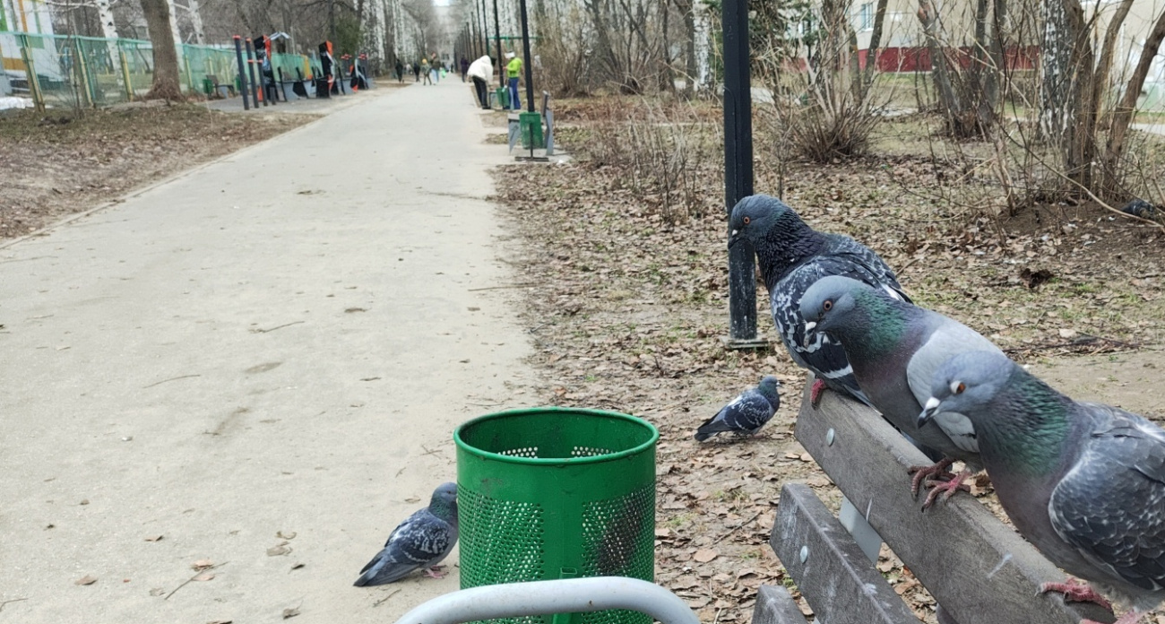 Четверг и пятница объявлены выходными: новый график работы для россиян в связи с обстановкой в стране