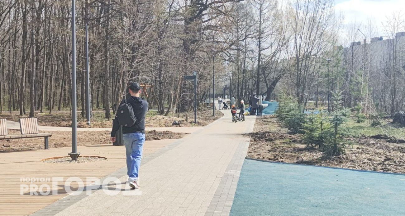 В Чувашии 20 апреля ожидается теплая погода с дождем