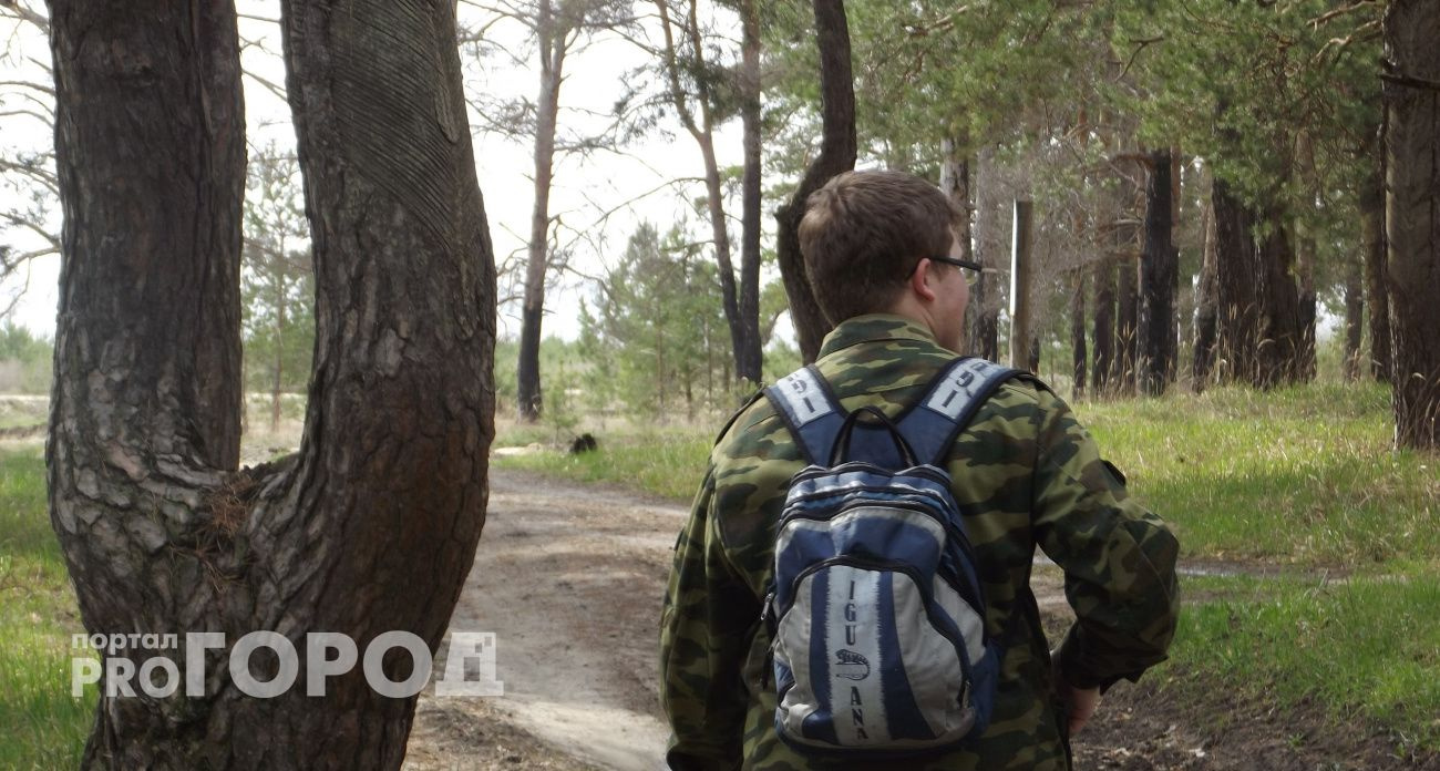В Чувашии объявлен желтый уровень пожарной опасности в лесах