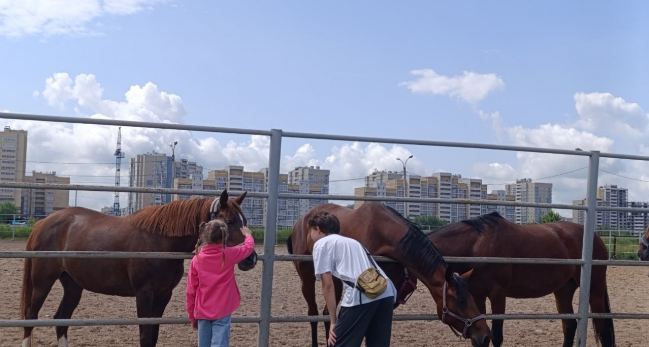 В Новочебоксарске пройдет летний День здоровья и спорта