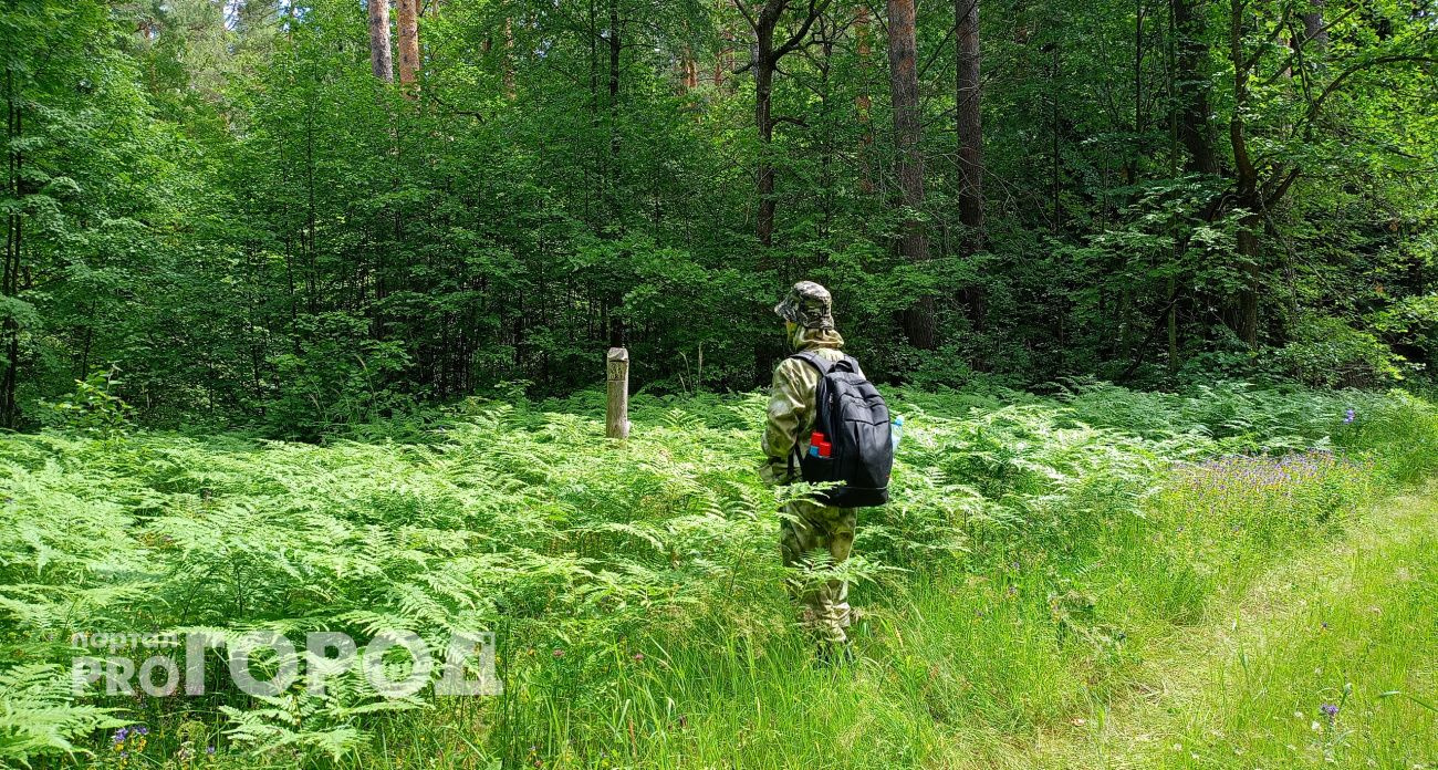 В Чувашии объявлен желтый уровень пожарной опасности на неделю