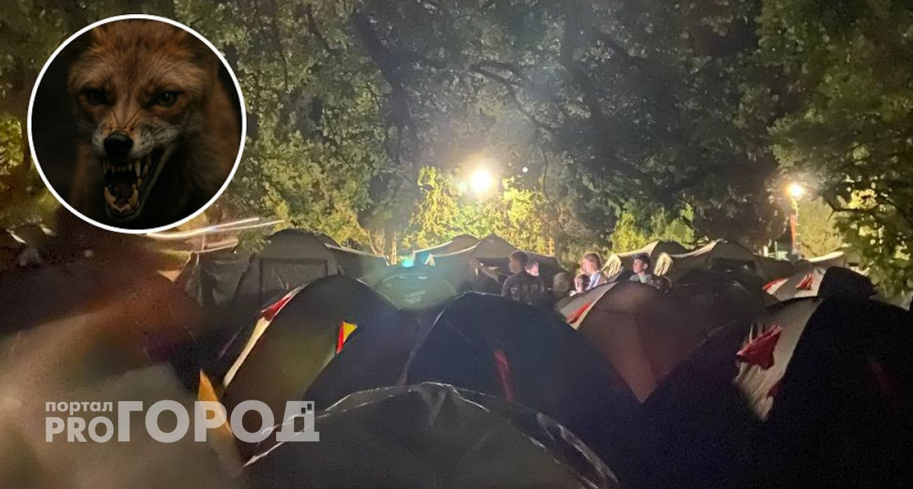 Лиса напала на детей в палаточном лагере "Артека"