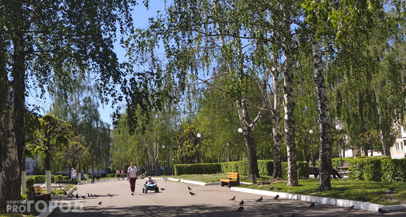 Начало последней недели июля в Чувашии будет жарким: температура днем поднимется до +28