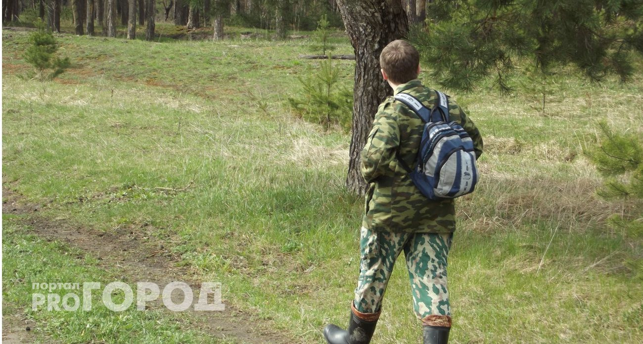 В Чувашии объявлен высокий риск лесных пожаров до 4 августа