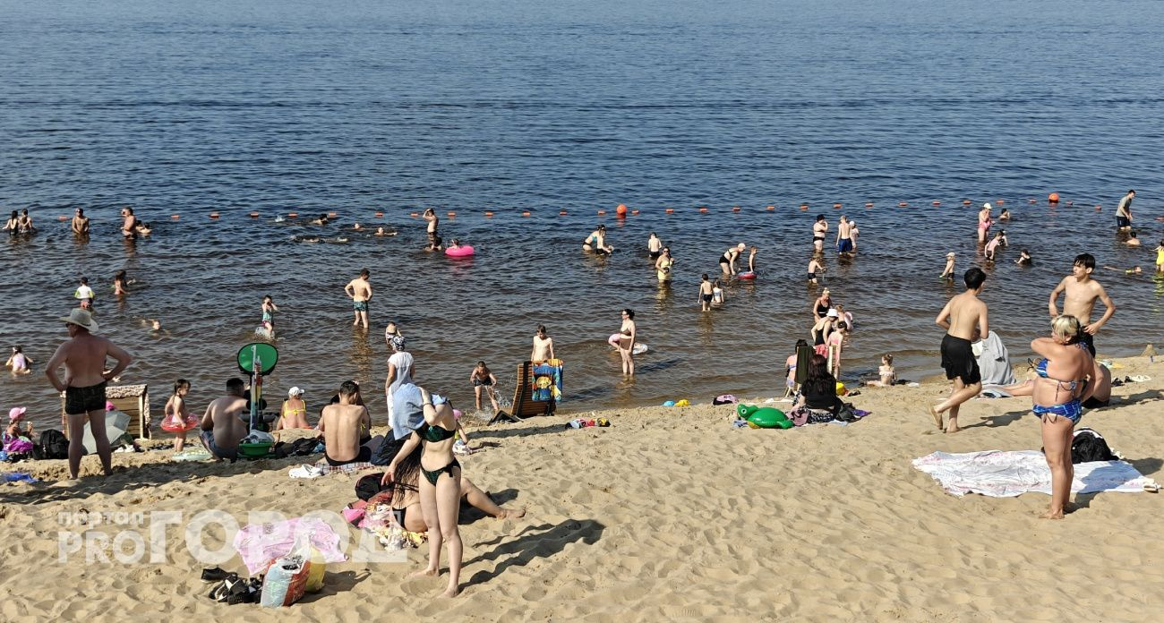 Жаркая погода без дождей повысит риск лесных пожаров в Чувашии