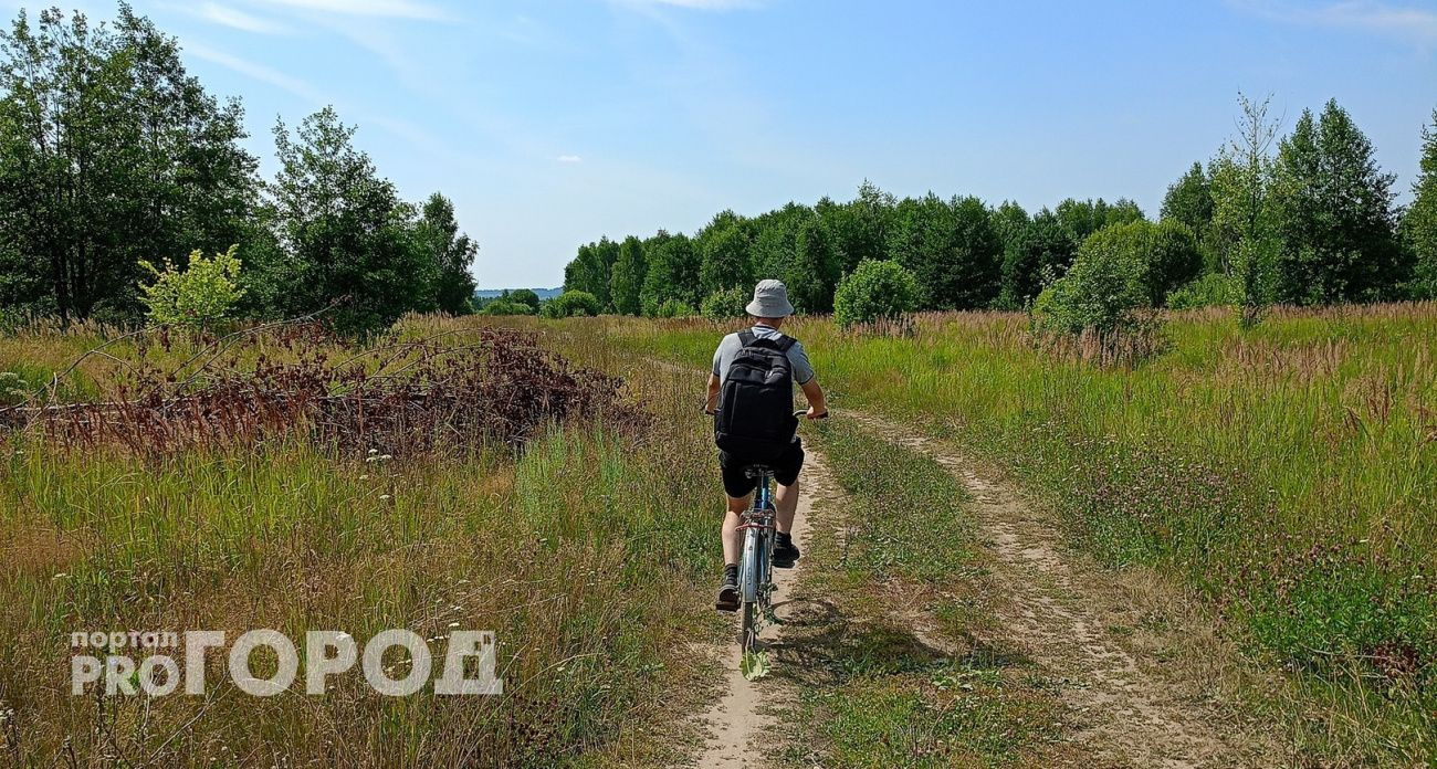 В Чувашии объявлен максимальный уровень пожарной опасности