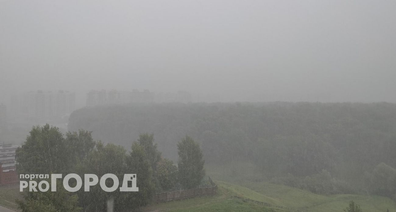 Последняя волна жары этим летом достигнет пика в начале августа