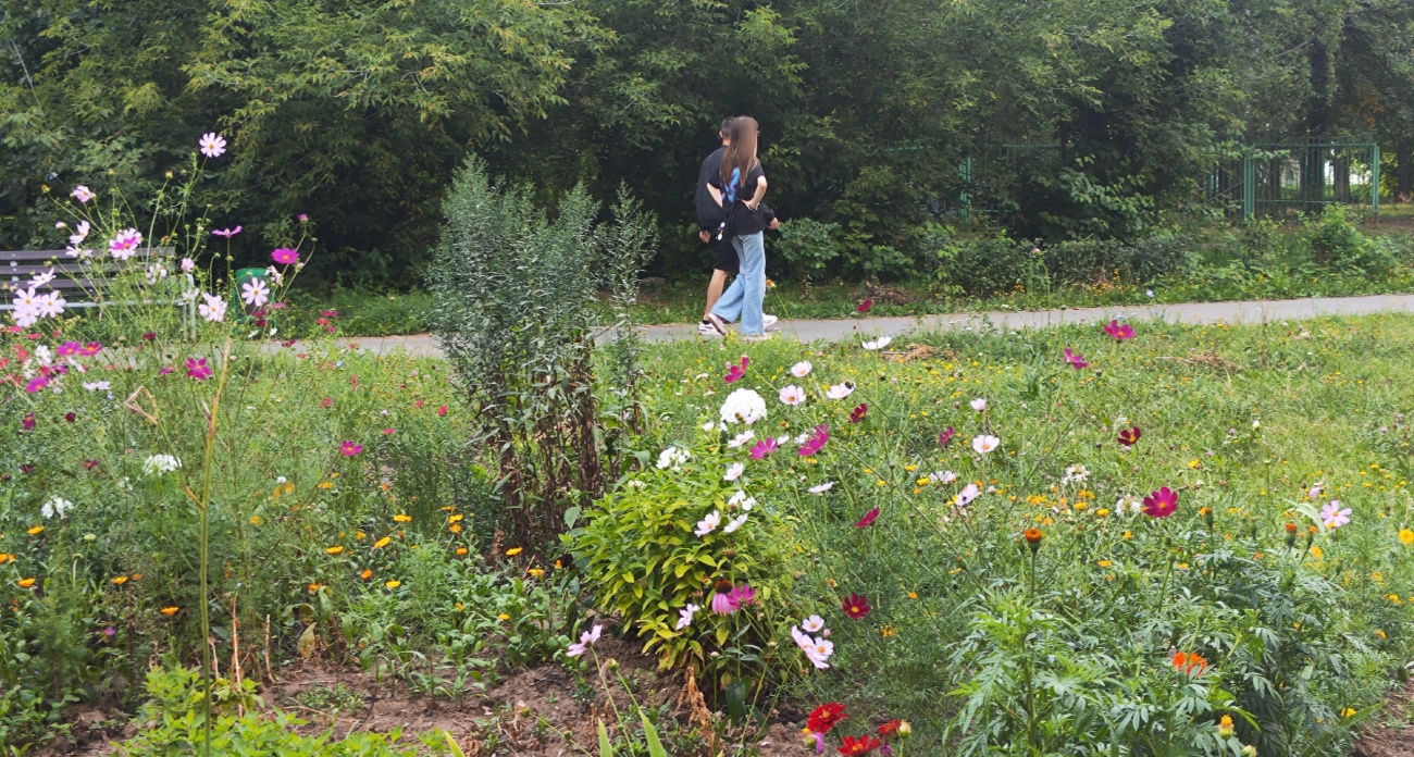 Какие сюрпризы готовит природа жителям Чувашии на завтра