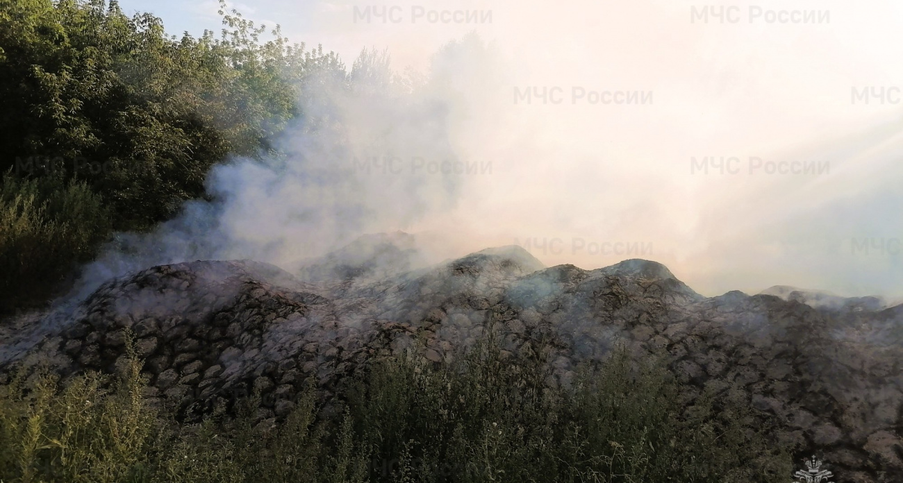 В Новочебоксарске снова загорелся сухостой