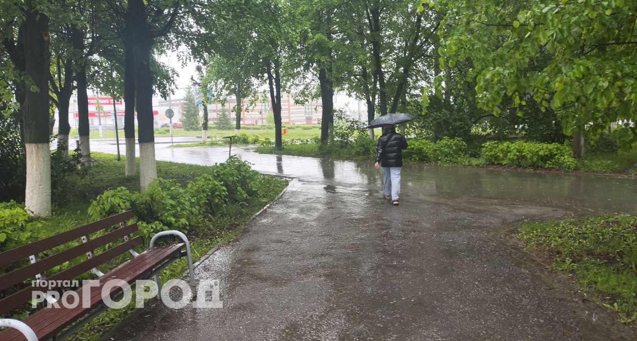 В Чувашии ожидаются дожди с грозами и похолодание