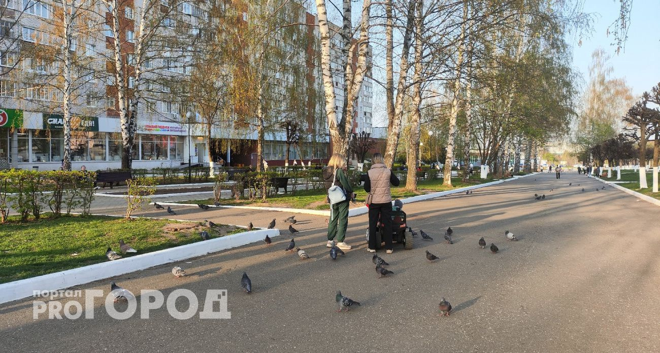 Беременные студентки в Чувашии получают по 100 тысяч рублей