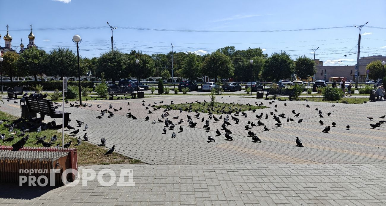 Погода в Чувашии 9 августа: ночью дождь, днем до +25°C