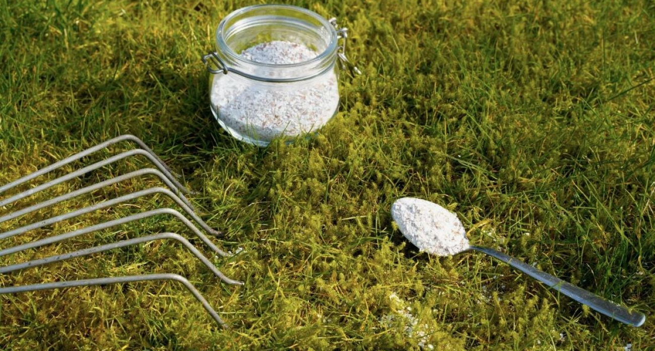 Забудьте про химию: сода уничтожит весь мох на газоне за 3 дня — проверенный секрет садоводов