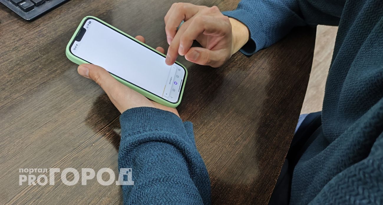 За воровство с банковского счета знакомого новочебоксарец отправится в колонию особого режима