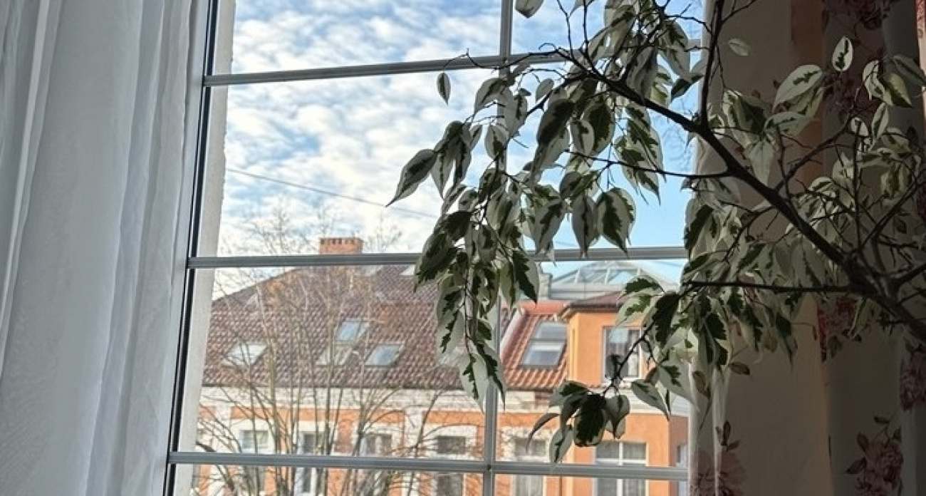 Одна ложка грошевого средства — стекла и зеркала сияют как во дворце без разводов и катышков