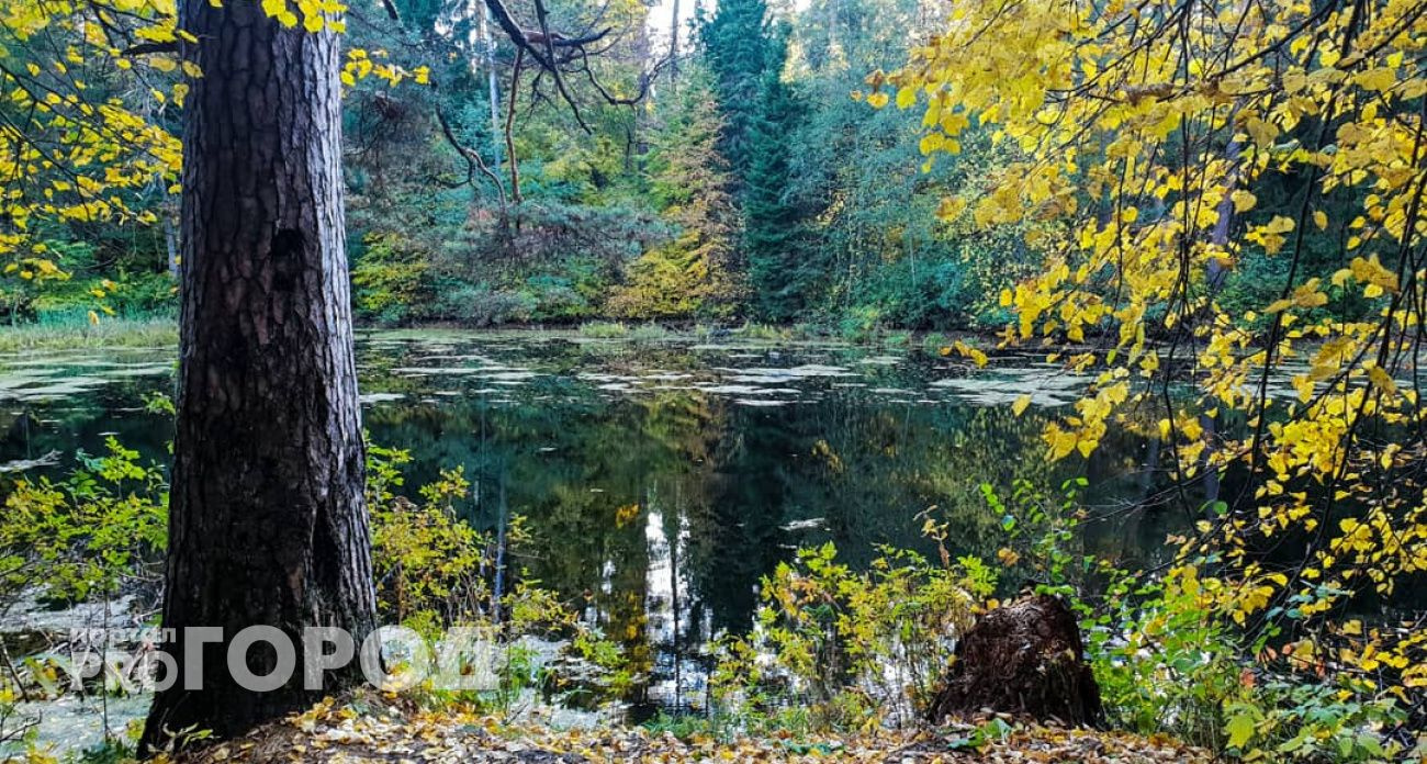 В Чувашии сентябрь начнется с бабьего лета, а настоящая осень придет к 10 числу