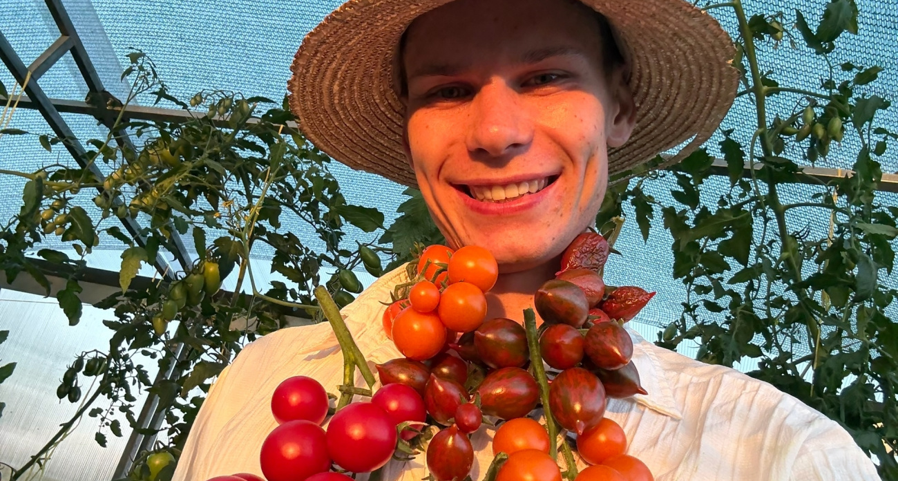 Фермер из Чувашии поделился рецептом ароматных вяленых томатов